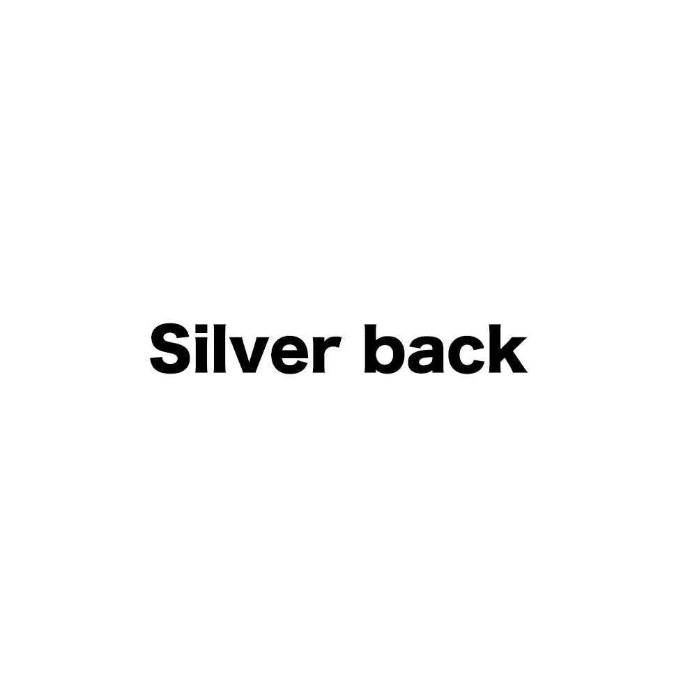 Silver back